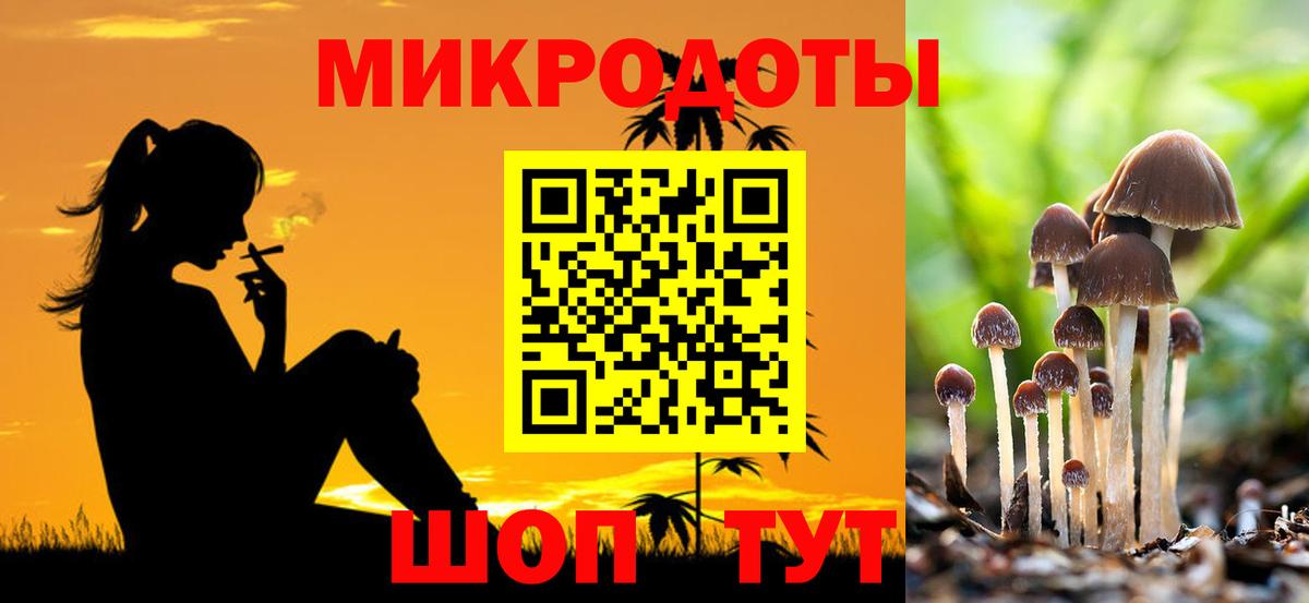Галлюциногенные грибы мицелий  Галлюциногенные грибы GOLDEN TEACHER  Каменск-Шахтинский  Вход с VPN 