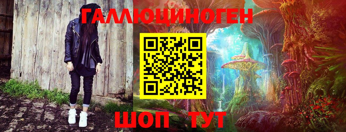 Галлюциногенные грибы Psilocybe Каменск-Шахтинский